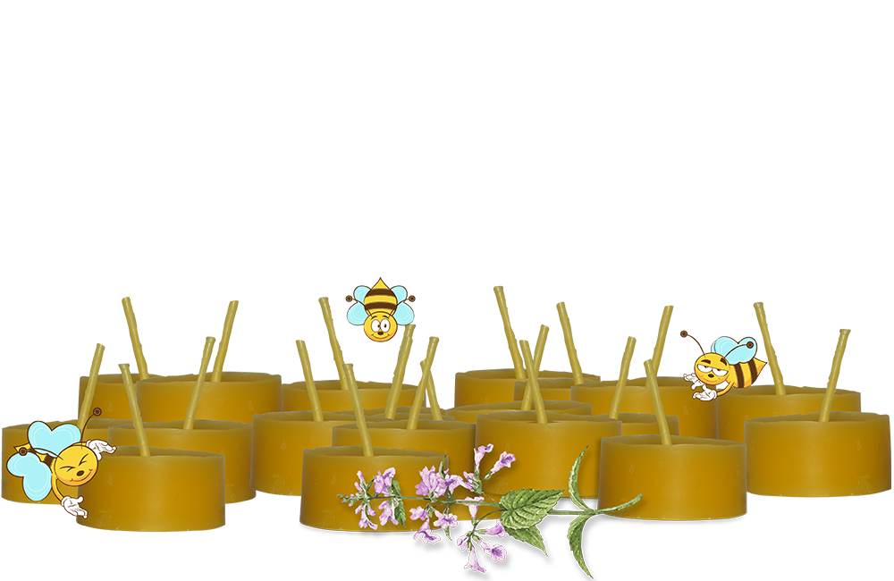 Beeswax Tealight Candles - 16-pack